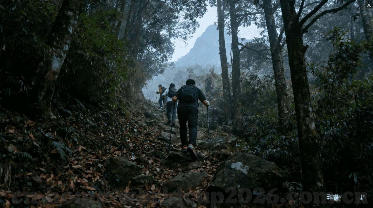 永利集团手机娱乐网-永利集团手机娱乐网，重塑数字时代的娱乐新纪元